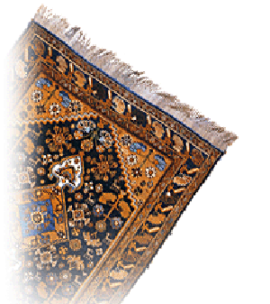 Torkman Carpet